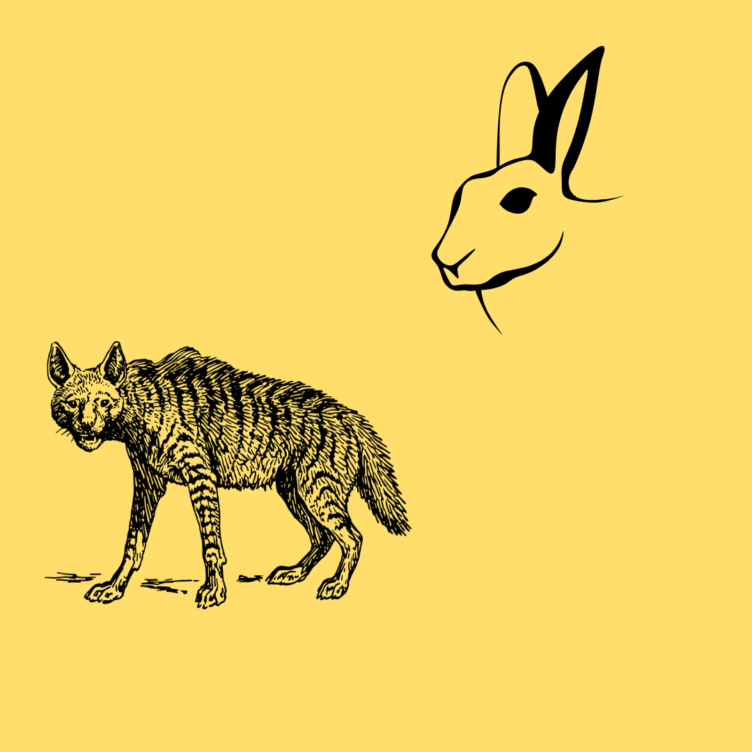 The Hare and The Hyena