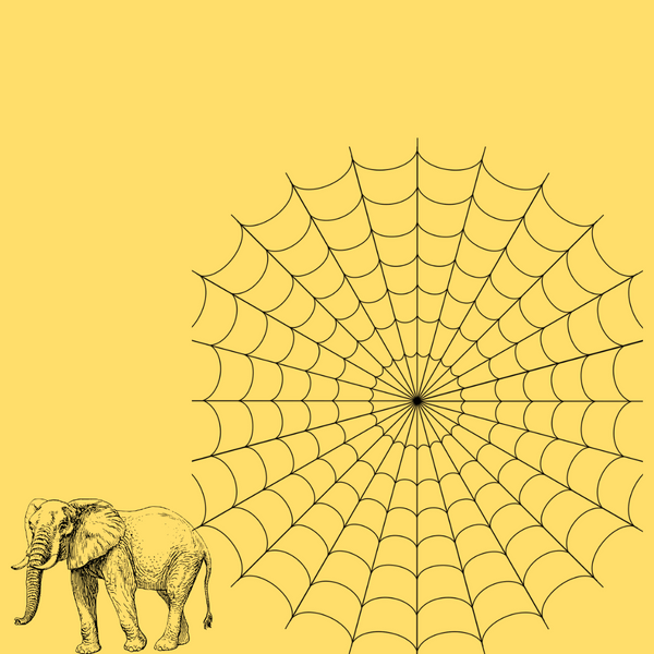 Ananse The Spider & The Elephant